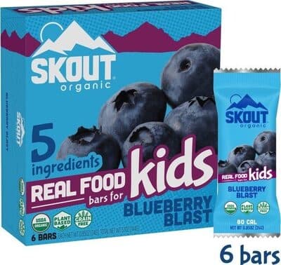Blueberry Blast Bars