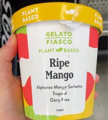 Dairy Free Ripe Mango Sorbetto