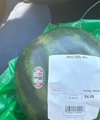 Mini Watermelon