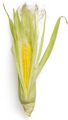 Sweet Yellow Corn on the Cob