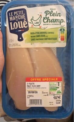 Open field chicken