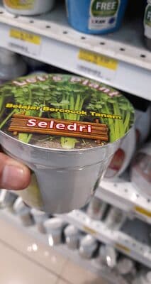 Lets Plant Seledri
