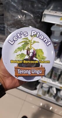 Lets Plant Terong Ungu