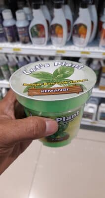 Lets Plant Kemangi
