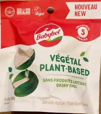 Plant-Based Cheese