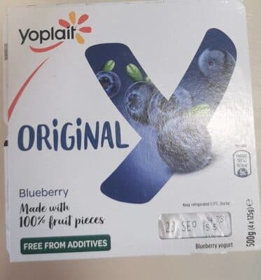 Original Blueberry