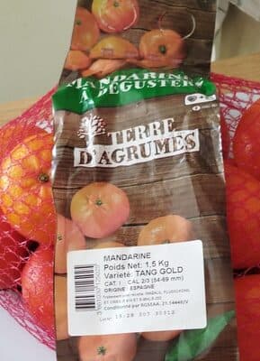 Mandarines  dguster