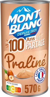 Crème Dessert Pralin