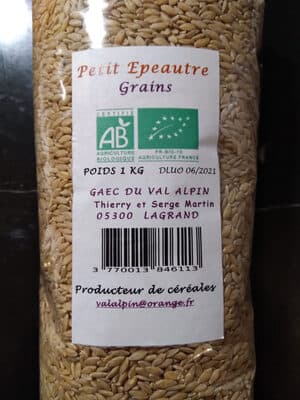 Spelt grains