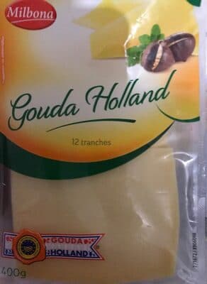 Gouda holland