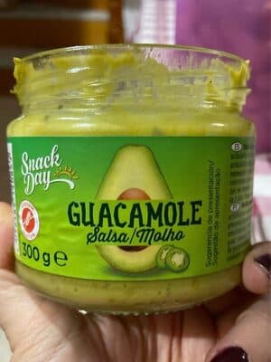 Salsa Dip Guacamole Style