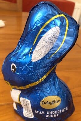 Milk chocolate bunny