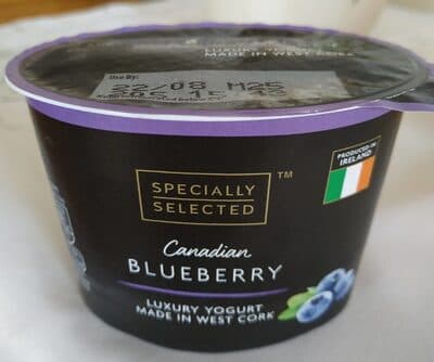 Canadian Blueberry - Luxury Yogurt Made in West Cork