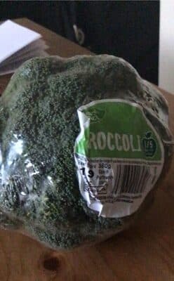 Broccoli