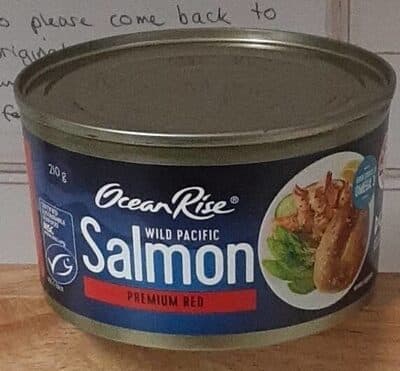 Salmon
