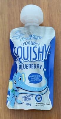 Yogurt squishy blueberry