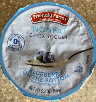 Blueberry on the Bottom Nonfat Greek Yogurt