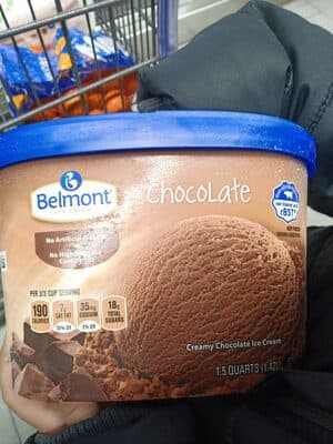 Chocolate Ice Cream