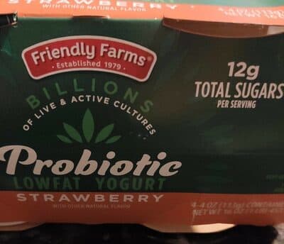 Probiotic Low-Fat Yogurt