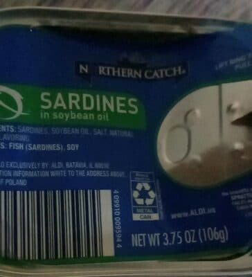 Sardines