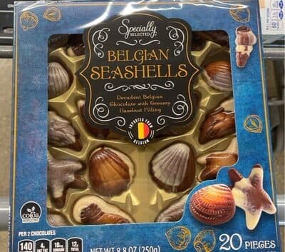 Specially belgian seashells