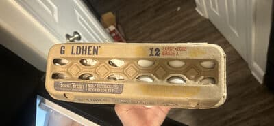 Large Eggs Grade A