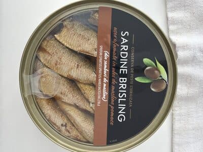 Sardine Brisling