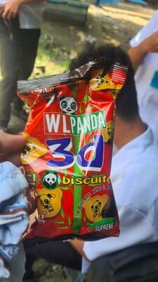 Wl Panda 3d biscuit