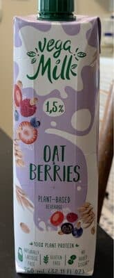 Oat Berries Plant Based Beverage