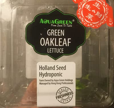 Green Oakleaf Lettuce