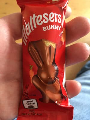 Bunny
