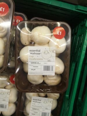 cup mushrooms
