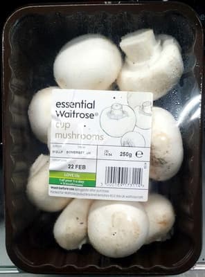 Cup Mushrooms