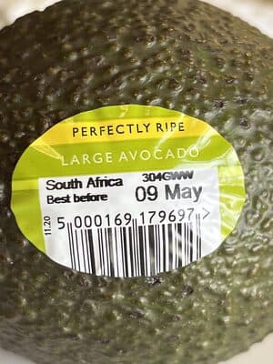 Perfectly Ripe Avocado