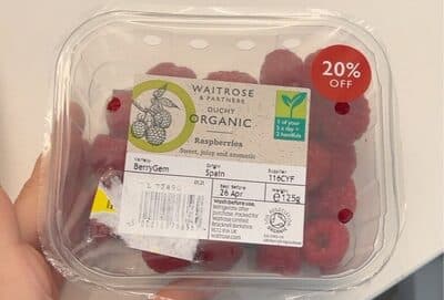 Organic Raspberries