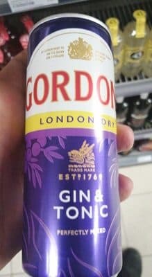 Gordon's London Dry Gin Tonic