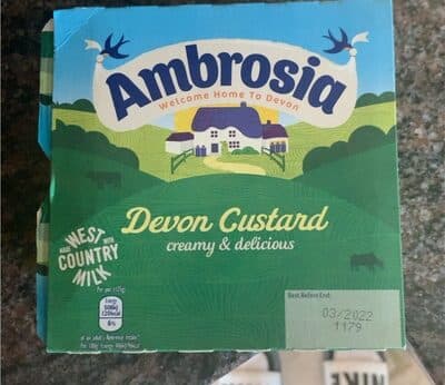 Devon Custard