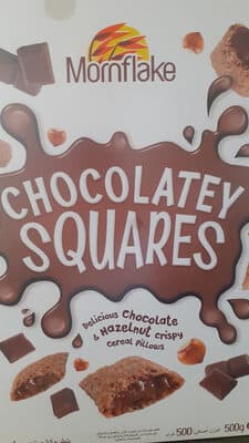 Chocolatey Squares