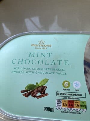 Mint Chocolate Ice Cream
