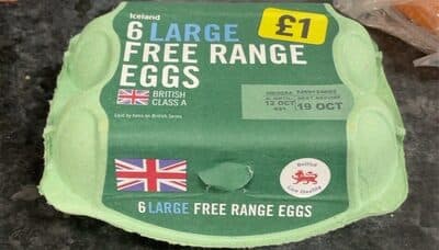 Iceland Free Range Eggs