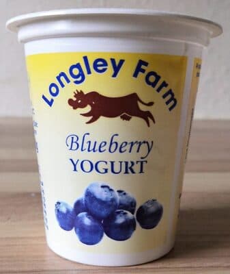 Blueberry Yoghurt