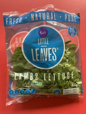 Lambs Lettuce