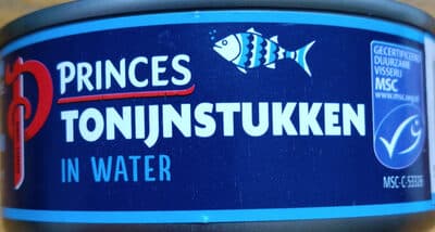 Tonijnstukken in water
