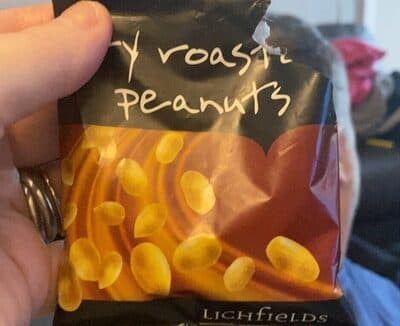 Dry Roasted Peanuts