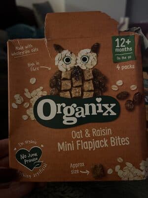 mini flapjack bites
