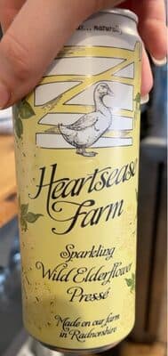 Sparking wild elderflower press
