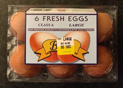 Fresh Eggs