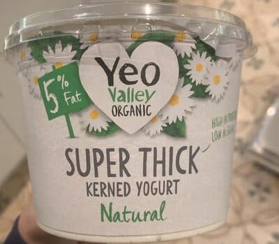 Super Thick Kerned Yogurt