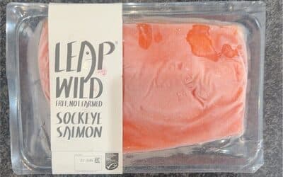 Sockeye Salmon