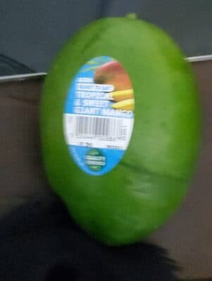 Ready to eat tropical and sweet giant mango